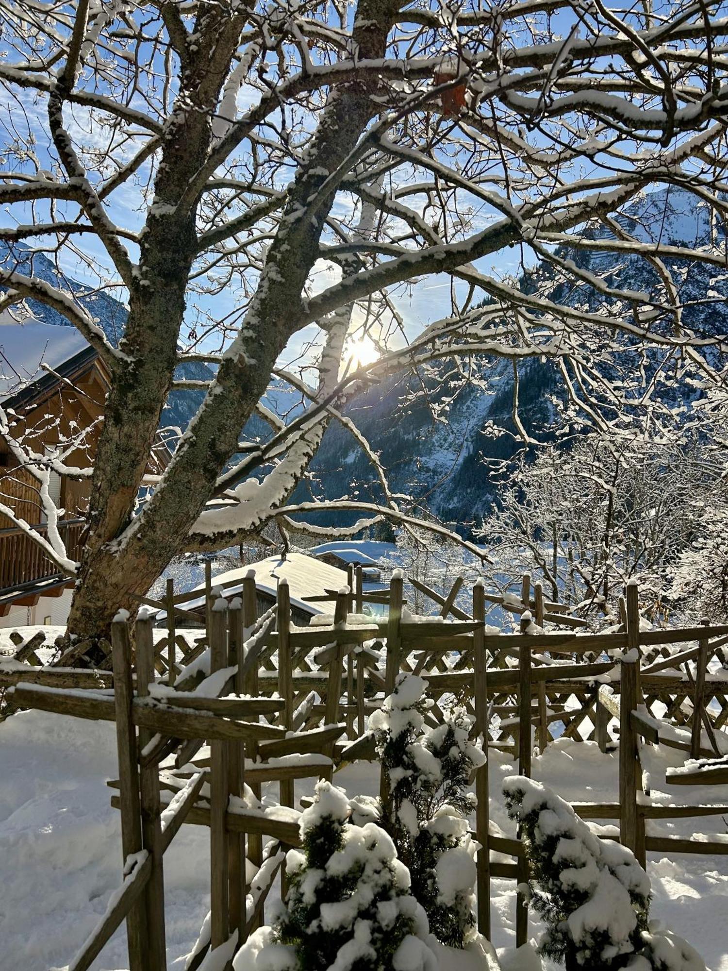 Appartementhaus Michaela * Bach (Tyrol)