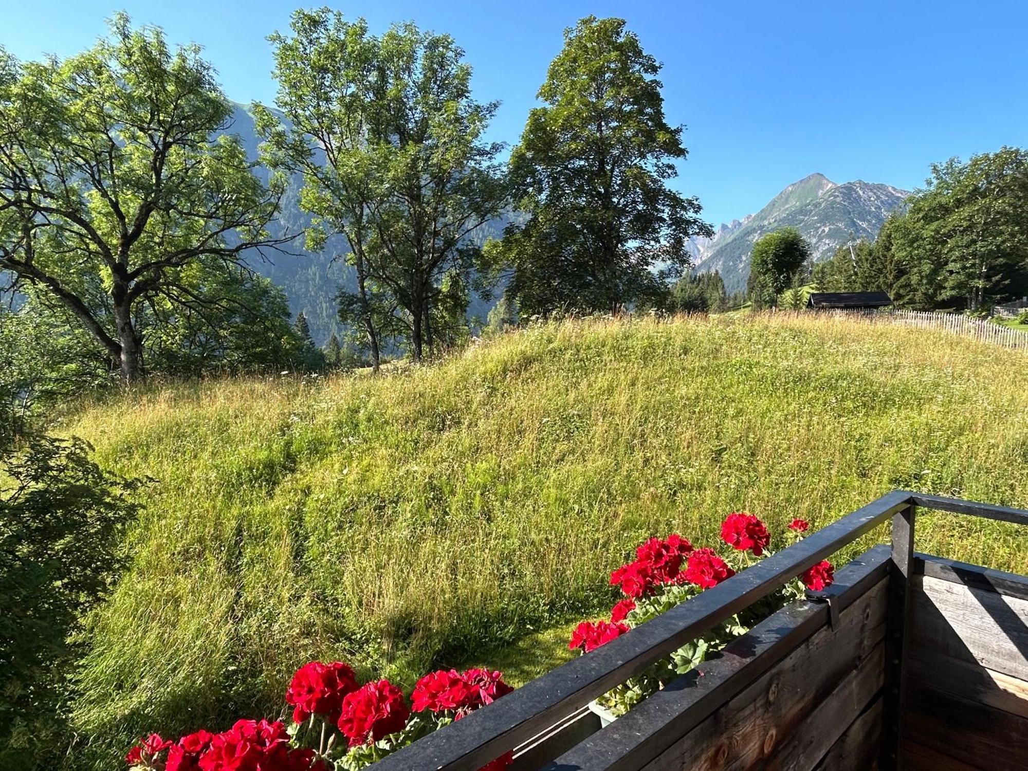 Appartementhaus Michaela Bach (Tyrol)